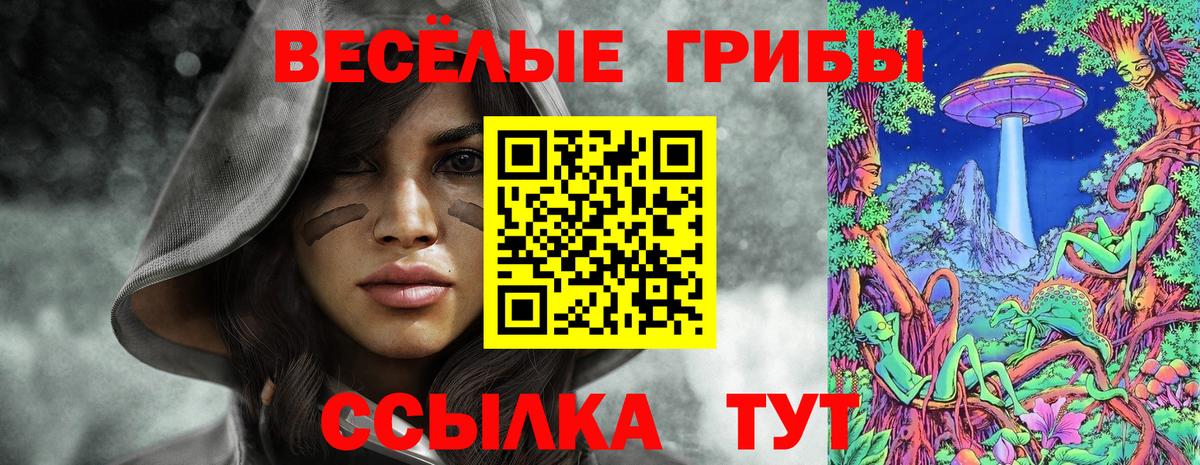 Псилоцибиновые грибы Psilocybine cubensis  Вход с VPN  Ачинск  Псилоцибиновые грибы Psilocybine cubensis 